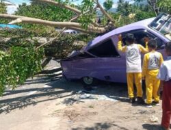 Angin Kencang di Padang, Pohon Tumbang di 19 Lokasi