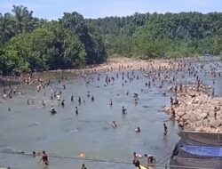 Ribuan Masyarakat Ikuti Pembukaan Ikan Larangan di Lingkuang Aua