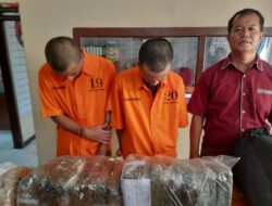 Satres Narkoba Polresta Bukittinggi Tangkap Terduga Pengedar 25 Kg Ganja