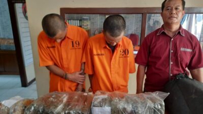 Satres Narkoba Polresta Bukittinggi Tangkap Terduga Pengedar 25 Kg Ganja