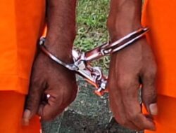 Dua Pengangguran di Pekanbaru Diciduk Curi Sawit