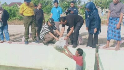Sekdako Pariaman Sebar Bibit Ikan di  Batang Air Pampan