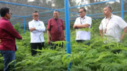 Bersama Semen Padang, PPNP Payakumbuh Siap Kembangkan Kaliandra Dari Hulu hingga ke Hilir
