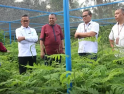Bersama Semen Padang, PPNP Payakumbuh Siap Kembangkan Kaliandra Dari Hulu hingga ke Hilir