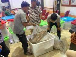 Gugatan PHPU di Pasbar, LO PDIP Temukan Kejanggalan di Kotak Suara