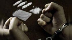 Sempat Sembunyi di Loteng, Pengedar Narkoba Ditangkap Polres Pessel