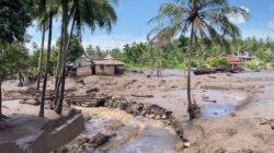 29 Korban Banjir Bandang di Tanah Datar Masih Dinyatakan Hilang