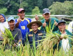 Tiga Tahun Ini Ekonomi Tanah Datar Tumbuh, Angka Kemiskinan dan Pengangguran Turun