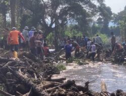 Ratusan Warga Ampek Angkek Gotong Royong Bersihkan Alur Sungai Berhulu dari Marapi