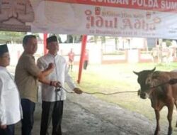 Satu Ekor untuk PWI, Polda Sumbar Salurkan 170 Hewan Kurban