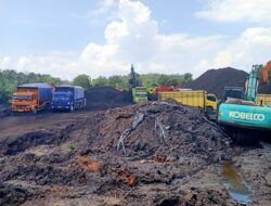 Kegiatan Stockpile Batubara PT Sungai Pangian Jaya Dihentikan