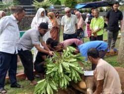 Rusma Berkurban di Masjid Akbar Baiturrahman Painan