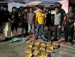 Polda Sumbar Gagalkan Peredaran 16 Kg Ganja
