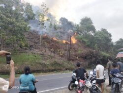 Akibat Cuaca Panas, Lahan Warga di Palembayan Terbakar