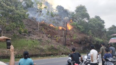 Akibat Cuaca Panas, Lahan Warga di Palembayan Terbakar