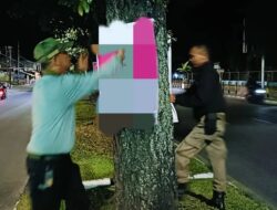 APK di Pohon Pelindung Ditertibkan Pol PP Padang