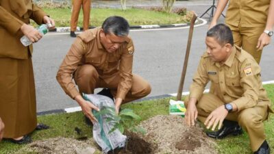 Pemko Pariaman Canangkan Satu Pohon Satu Pekan