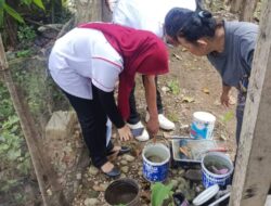 Puskesmas Ranah Ampek Hulu Tapan Lakukan Survei Vektor DBD