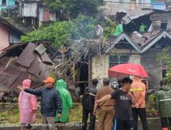 Pohon Tumbang Timpa Rumah Warga Batang Arau
