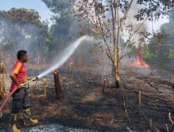 Antisipasi Kebakaran Hutan dan Lahan Merupakan Tanggung Jawab Bersama