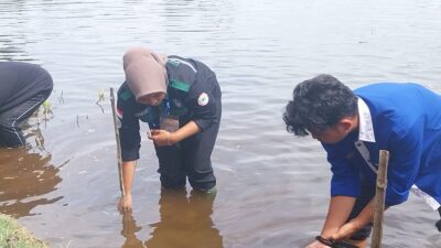Pegadaian Peduli tanam 1.230 bibit mangrove di Pantai Pasir Jambak