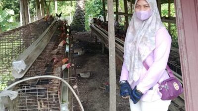 Kota Pariaman Dapat Bantuan Ternak dari DPKH Sumbar