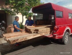 BKSDA Resort Pasaman Amankan Kayu Tak Bertuan