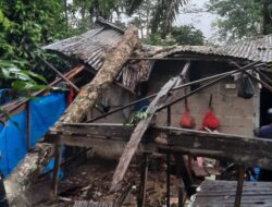 Angin Puting Beliung Hantam Lubuk Taruk Sijunjung