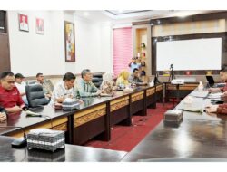 Ke BKN, Roberia Pastikan Honorer Kota Pariaman Diangkat Jadi PPPK
