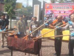 Polres Pasaman Musnahkan Barang Bukti Sabu dan Ganja
