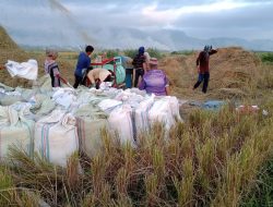 BRI Pacu Pertumbuhan UMKM dengan Penyaluran Kredit Mikro dan KUR