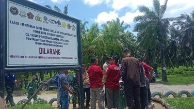 Satgas PKH Tertibkan Sejumlah Lahan Sawit Ilegal di Agam dan Pasaman Barat
