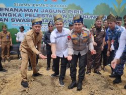 Lahan Tidur Seluas 11 Hektar di Tenayan Raya Mulai Dihijaukan dengan Jagung dan Pohon