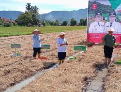 Gubernur Sumbar Canangkan Sawah Pokok Murah Agam
