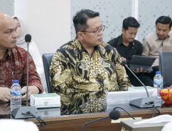 PT GGF dan Pemkab Tanah Datar Budidayakan Pisang Cavendish di  Sungayang