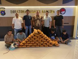 Polda Sumbar  Tangkap Empat Pria Pemilik 47 Paket Besar Ganja
