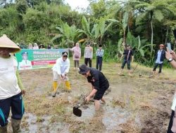 Keltan Bungo Katelo Koto Tinggi Ikuti Sekolah Lapang Sawah Pokok Murah