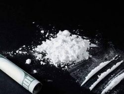 Pertama Kali di Pekanbaru, Polda Riau Gagalkan Peredaran 1,8 Kg Heroin dari Dalam Tong Sampah Hotel