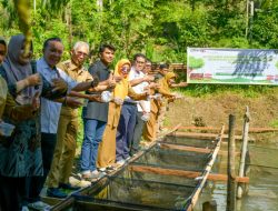 Semen Padang Uji Coba Maggot sebagai Pakan Ikan, Solusi Mandiri untuk Lingkungan dan Ketahanan Pangan