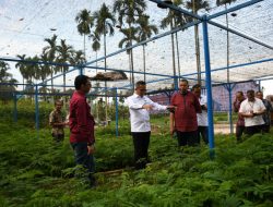 Bersama Semen Padang, PPNP Siap Pasok 100 Juta Bibit Kaliandra untuk Energi Hijau Sumatera Barat