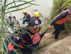 Korban Diterkam Buaya di Pasaman Barat Ditemukan Meninggal Dunia