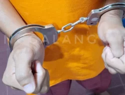 Tak Jera, Residivis Pembalakan Liar Kembali Ditangkap di Suaka Margasatwa Kerumutan