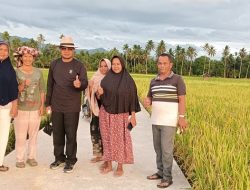 Khairuddin Simanjuntak Tinjau Pembangunan Jalan Usaha Tani di Pasaman