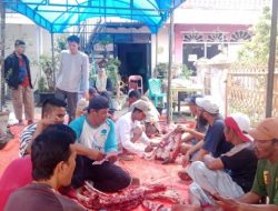 774 Hewan Kurban Disembilih di Kota Solok Saat Idul Adha 2025