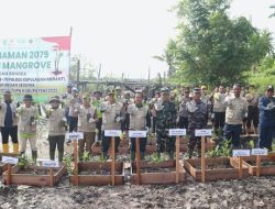 Polres dan PWI Meranti Gandeng PT ITA Tanam Ribuan Manggrove di Mekong