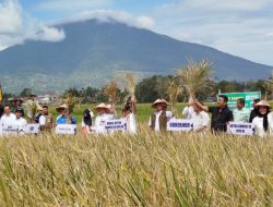 Hasilnya Terbukti, Komisi IV DPR RI Dorong Sistem Sawah Pokok Murah Diujicoba Secara Nasional