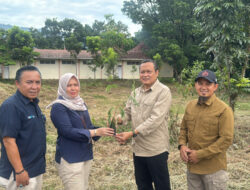 Kolaborasi PT Semen Padang dan Kwarda Sumbar: Tanam 50 Ribu Kaliandra untuk Energi Hijau