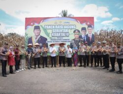 Walikota Zulmaeta Bersama Kapolres Payakumbuh Laksanakan Panen Raya Jagung