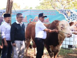 Wakil Walikota Payakumbuh Serahkan Sapi Presiden RI Kepada MAsyarakat
