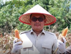 Evi Yandri Apresiasi Panen Jagung Raya Hasil Program Polri